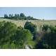 OLD COUNTRY HOUSE IN PANORAMIC POSITION IN LE MARCHE Farmhouse to restore with beautiful views of the surrounding hills for sale in Italy in Le Marche_30